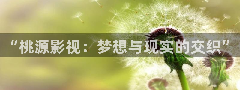中文天堂在线影院：“桃源影视：梦想与现实的交织”