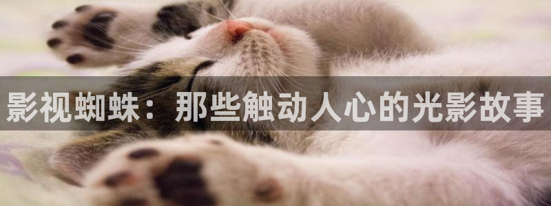 电影天堂的网址：影视蜘蛛：那些触动人心的光影故事